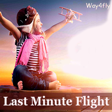 Last Minute Flight
